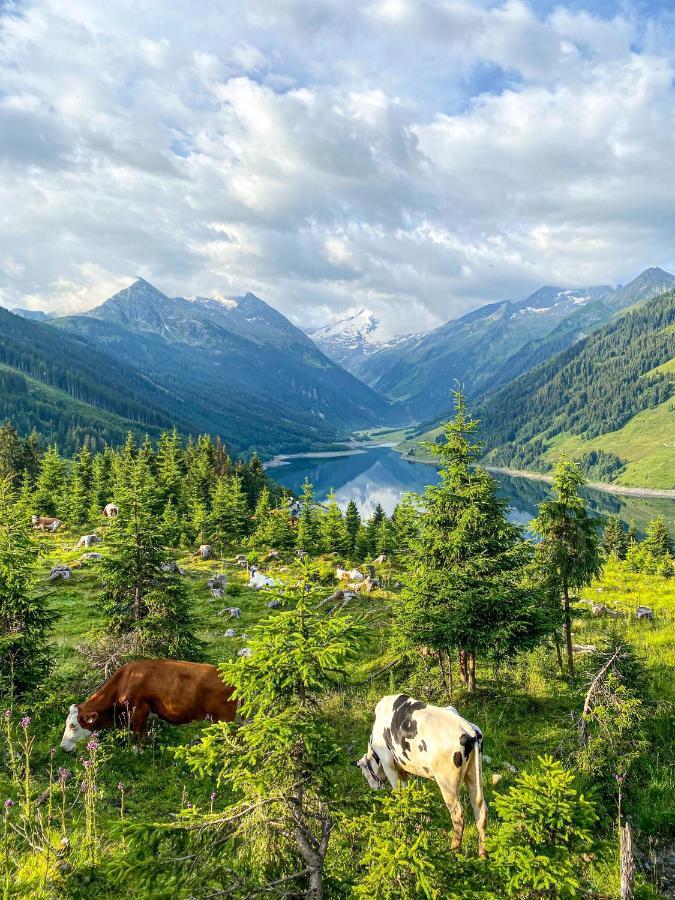 Апартаменти Schmezlhof Целль-ам-Ціллер Екстер'єр фото